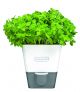 COLE & MASON Самополиваща се кашпа за зелени подправки или цветя